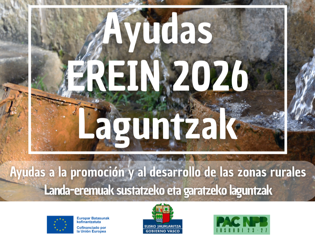 AYUDAS EREIN 2026. ABIERTO EL PLAZO DE PRESENTACIÓN DE SOLICITUDES