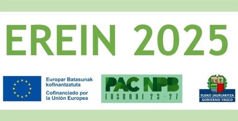AYUDAS EREIN 2025. ABIERTO EL PLAZO DE PRESENTACIÓN DE SOLICITUDES
