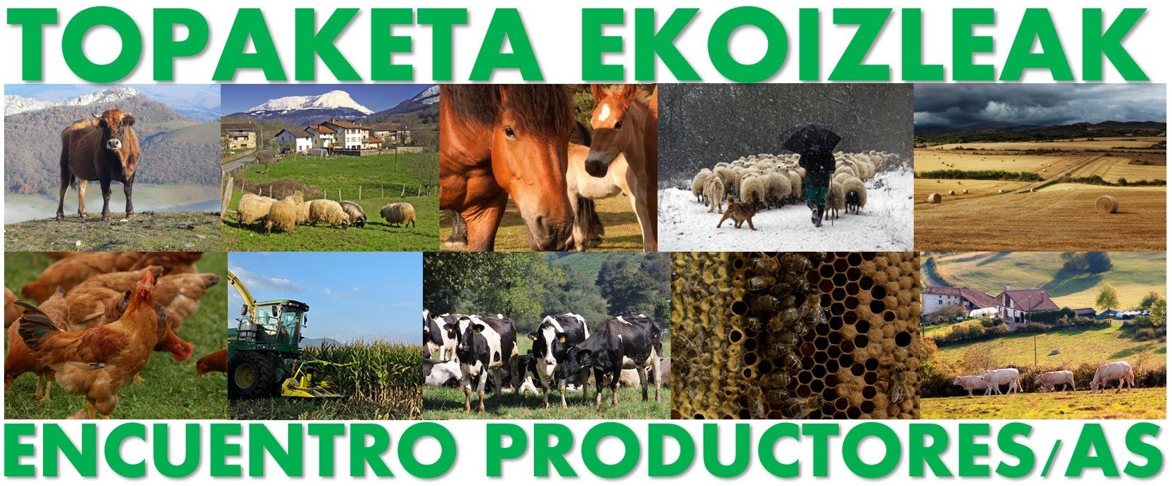 GORBEIALDEAKO NEKAZARI ETA ABELTZAINEKIN TOPAKETA