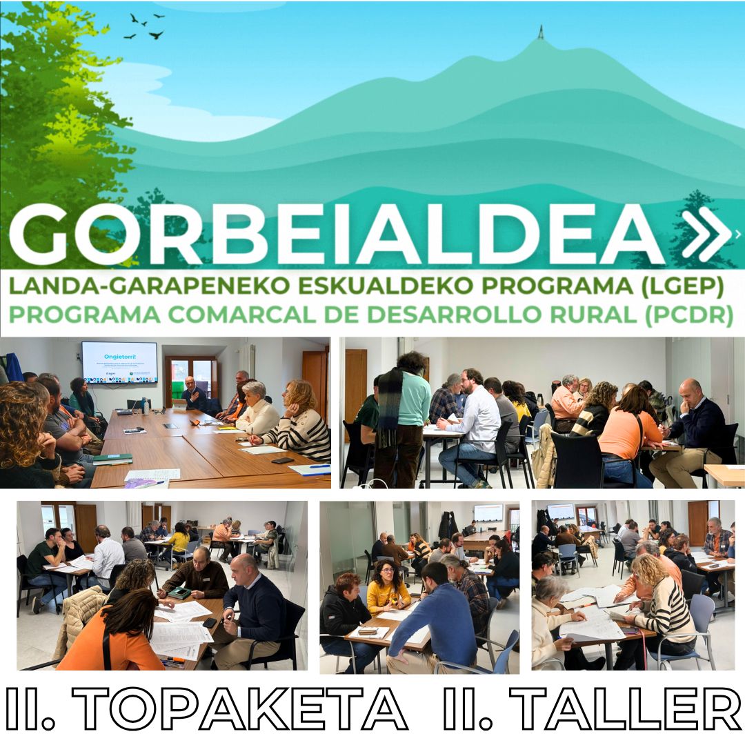 II. TALLER del PCDR: NECESIDADES, POTENCIALIDADES Y VISIÓN