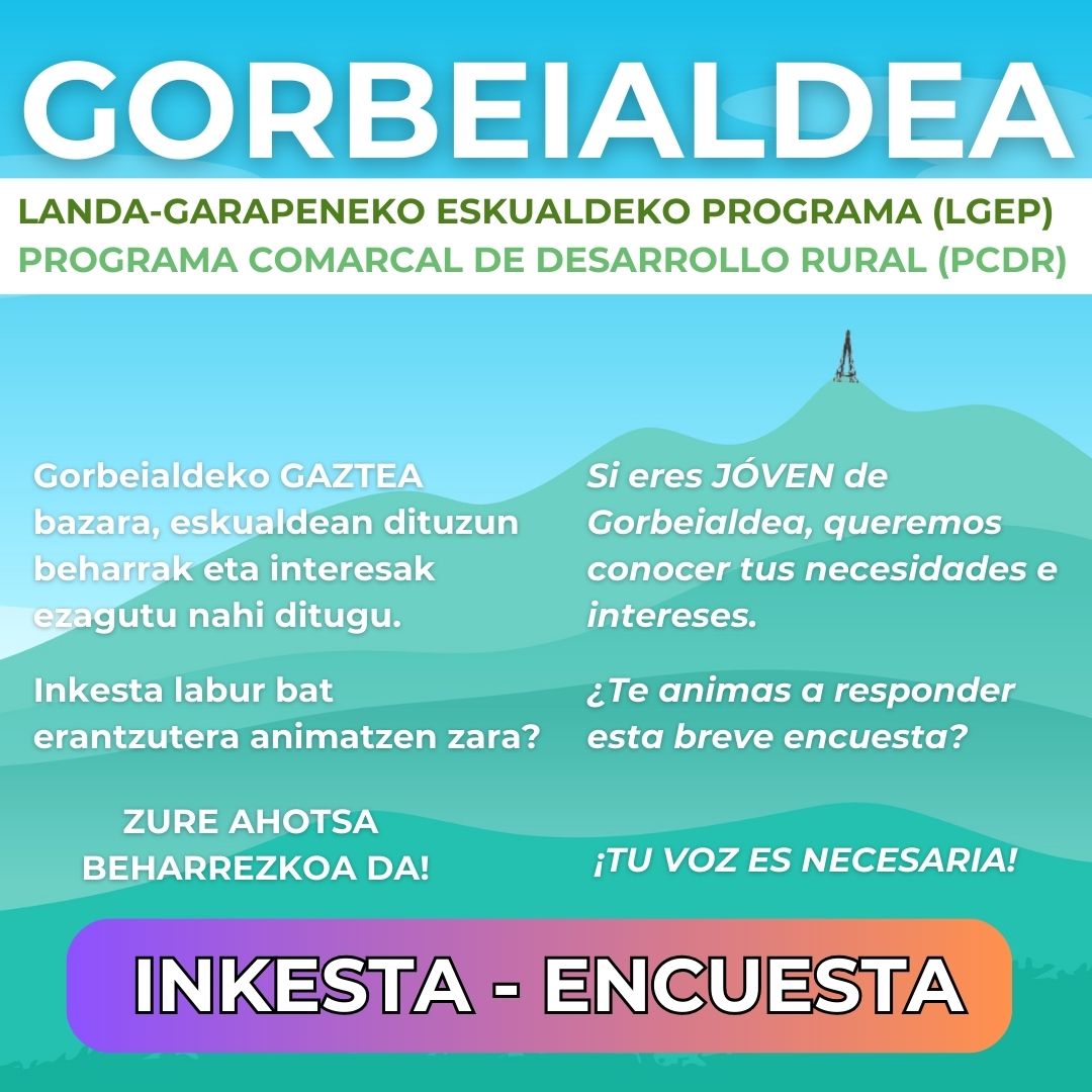 PROGRAMA COMARCAL DE DESARROLLO RURAL: ENCUESTA JÓVENES