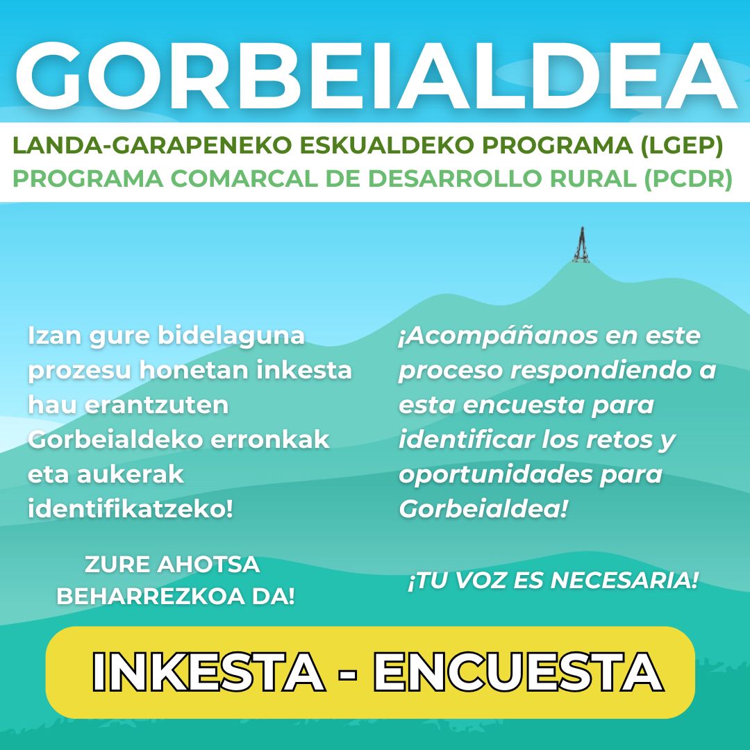 PROGRAMA COMARCAL DE DESARROLLO RURAL: ENCUESTA