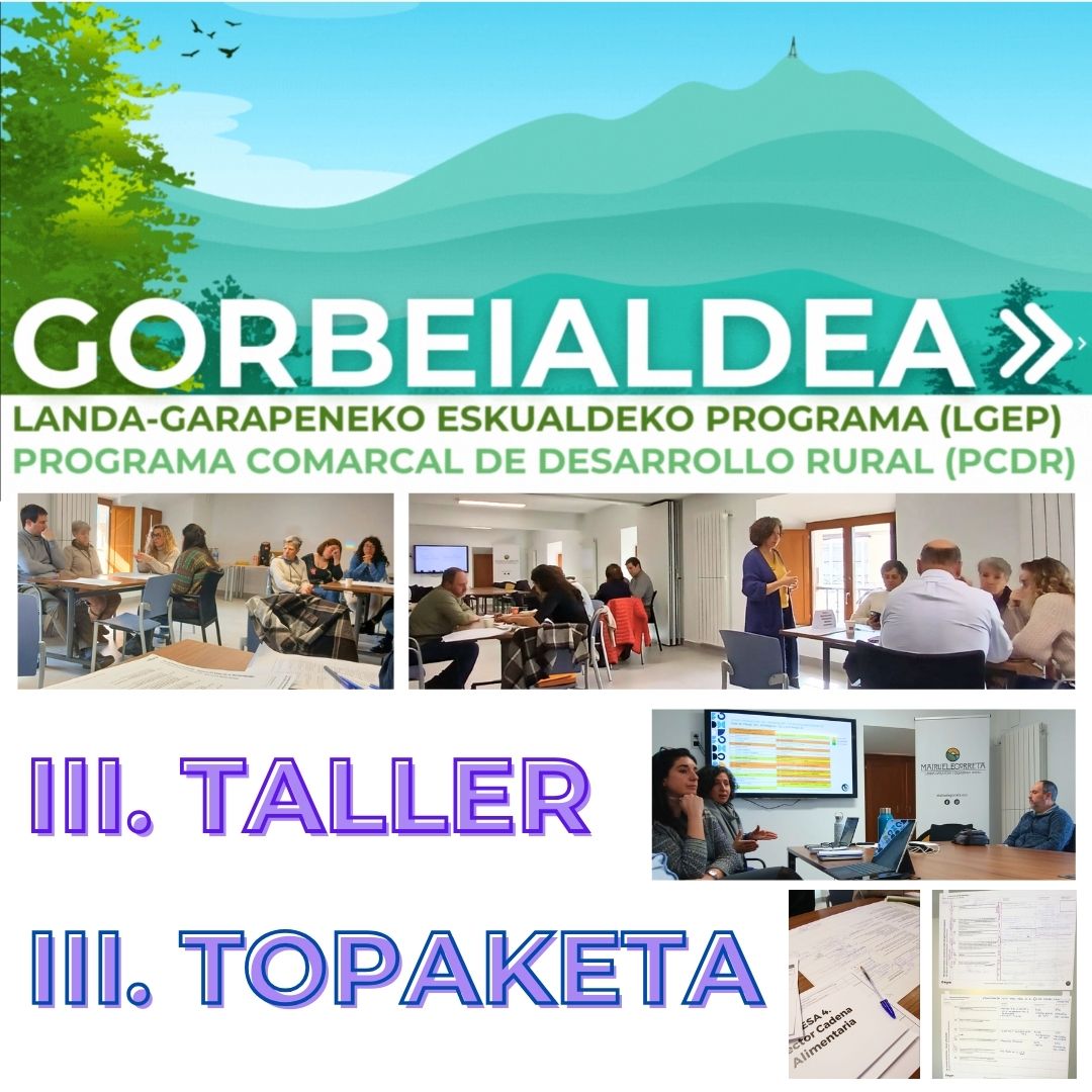 III. TALLER del PCDR: LINEAS DE ACTUACIÓN
