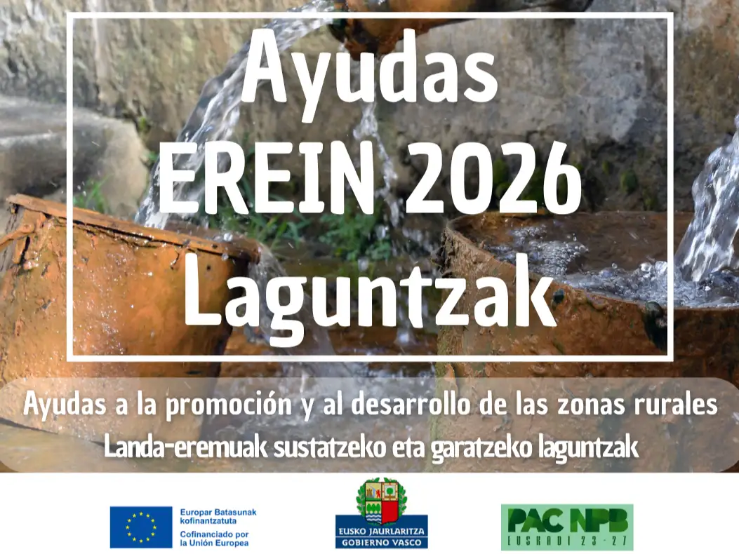 AYUDAS EREIN 2026. ABIERTO EL PLAZO DE PRESENTACIÓN DE SOLICITUDES